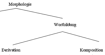 LE 3: Morphologische Grundlagen 3